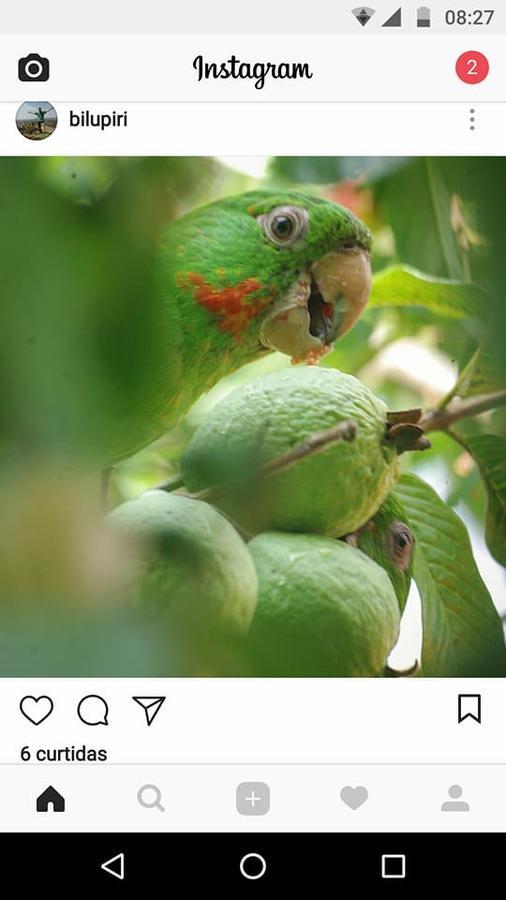Casa Esmeralda Para Descanso Pirenópolis Kültér fotó